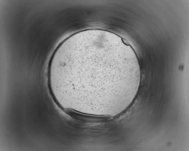 X0000102341143200808291131
