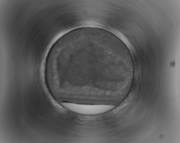 X0000102341144200808291131