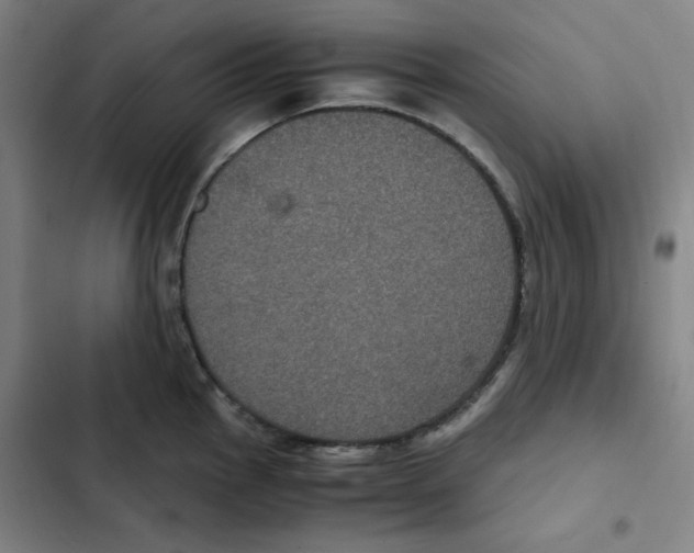 X0000102341145200808291131