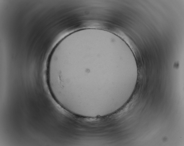 X0000102341147200808291131