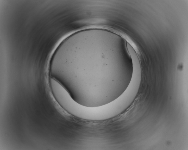 X0000102341148200808291131