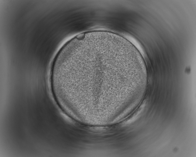X0000102341149200808291131