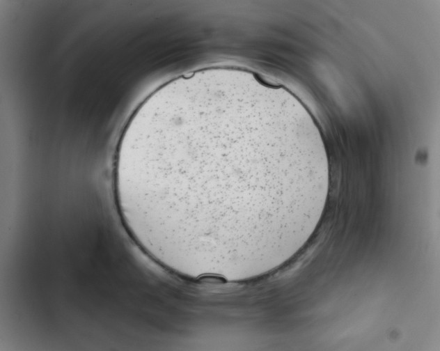 X0000102341151200808291131