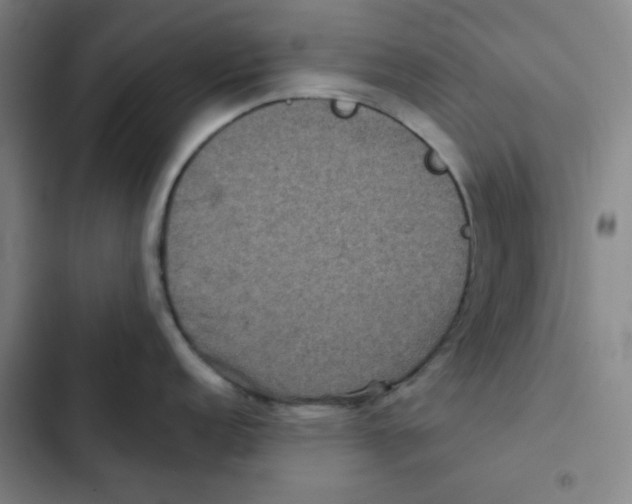 X0000102341152200808291131