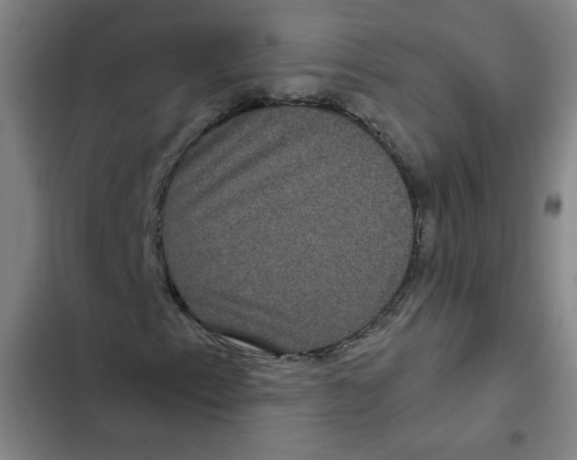 X0000102341153200808291131