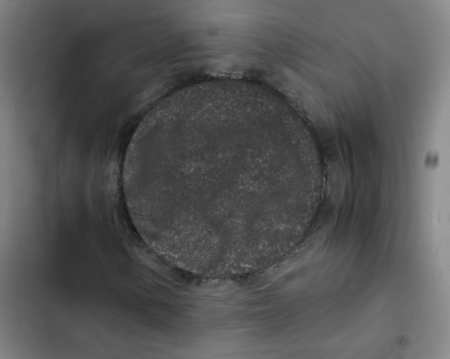 X0000102341154200808291131