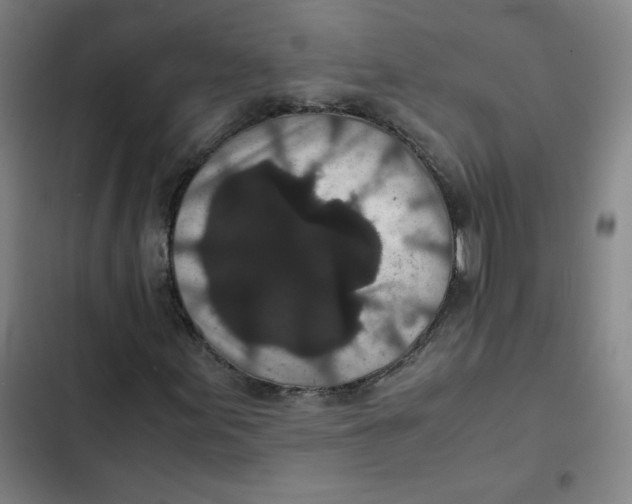 X0000102341155200808291131