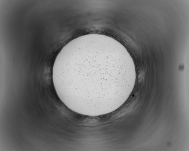 X0000102341156200808291131