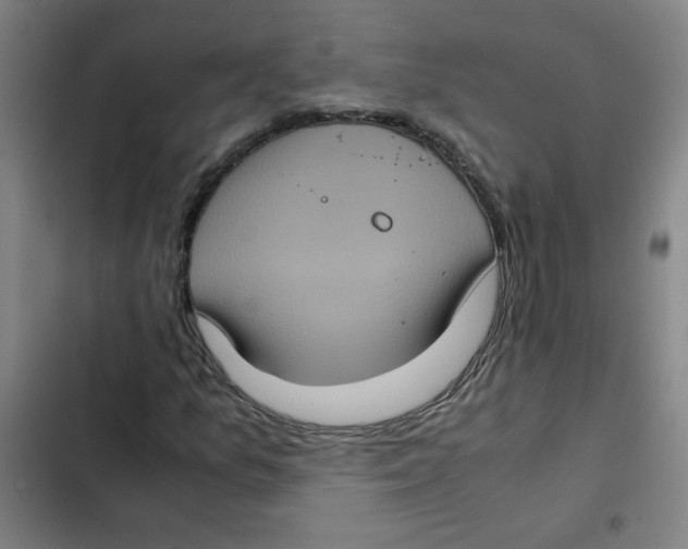 X0000102341157200808291131