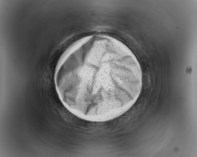 X0000102341158200808291131