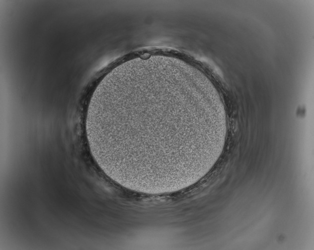X0000102341159200808291130