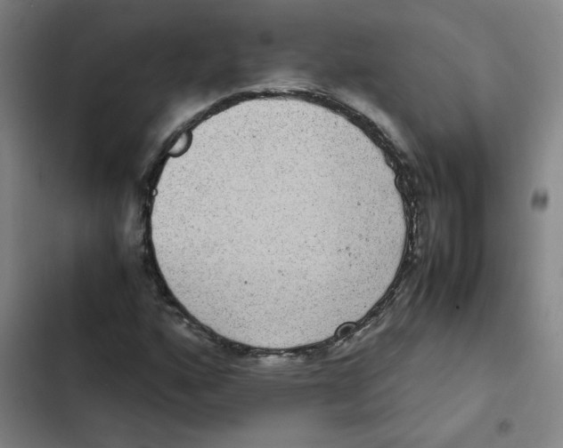 X0000102341160200808291130