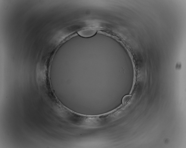 X0000102341161200808291130