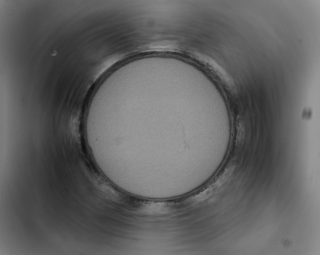 X0000102341162200808291130