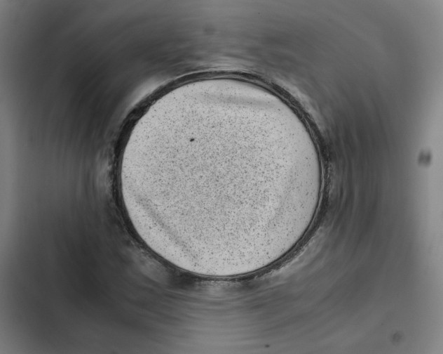 X0000102341163200808291130