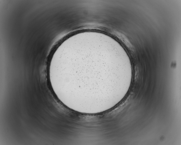 X0000102341164200808291130