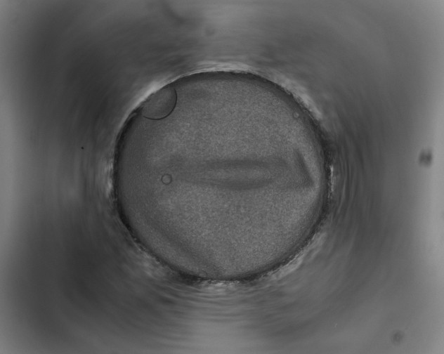 X0000102341165200808291130