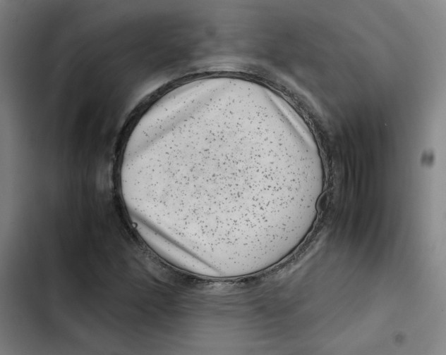 X0000102341166200808291130