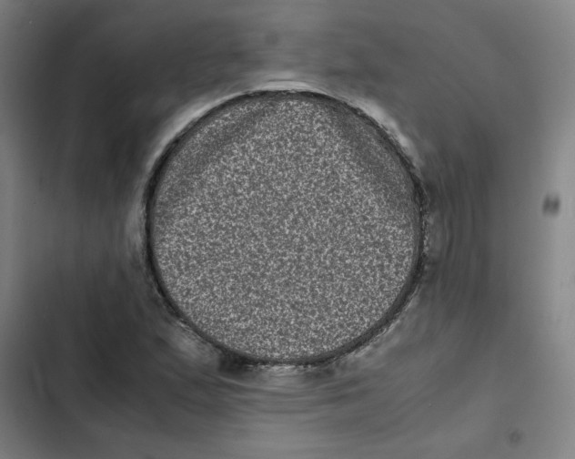 X0000102341167200808291130