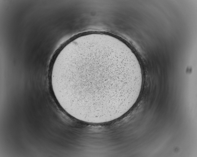 X0000102341168200808291130