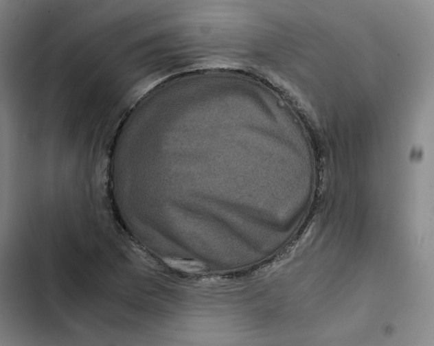 X0000102341169200808291130