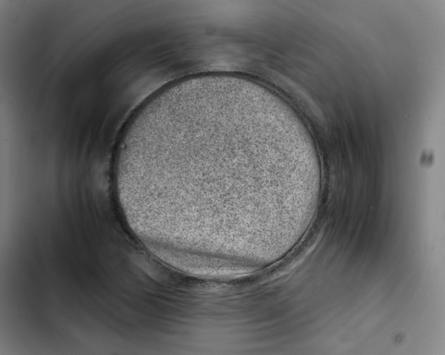 X0000102341170200808291130