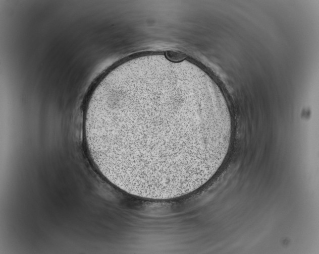 X0000102341171200808291130