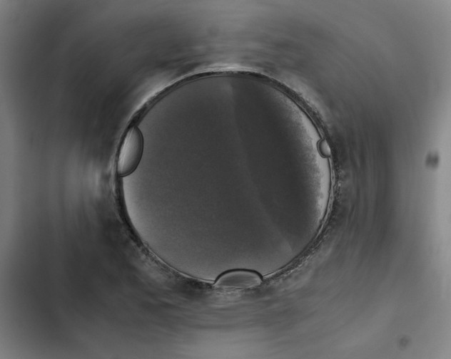 X0000102341173200808291130