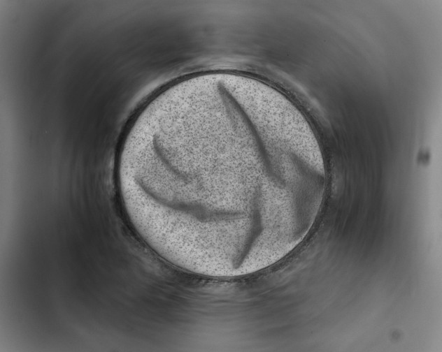 X0000102341174200808291130