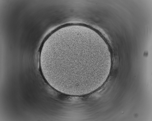 X0000102341175200808291130