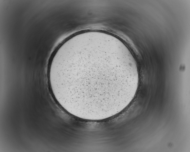 X0000102341176200808291130