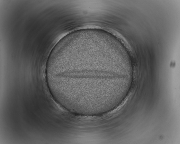 X0000102341177200808291130