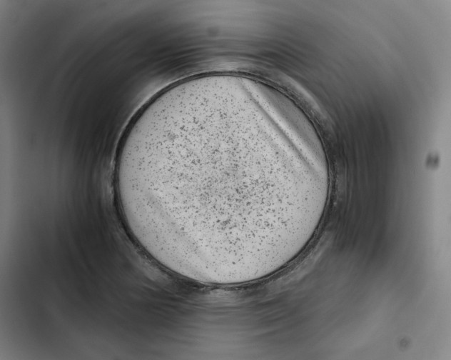X0000102341178200808291130