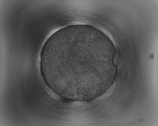 X0000102341179200808291130