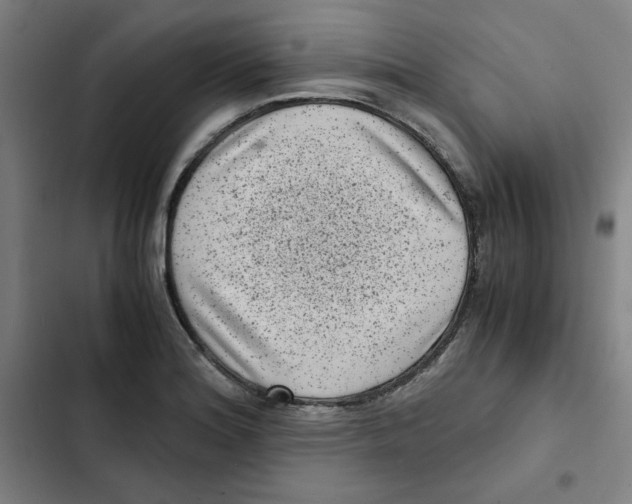 X0000102341180200808291130