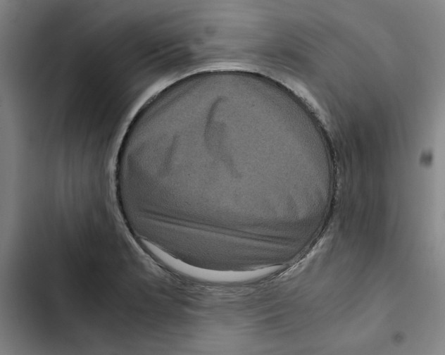 X0000102341181200808291130