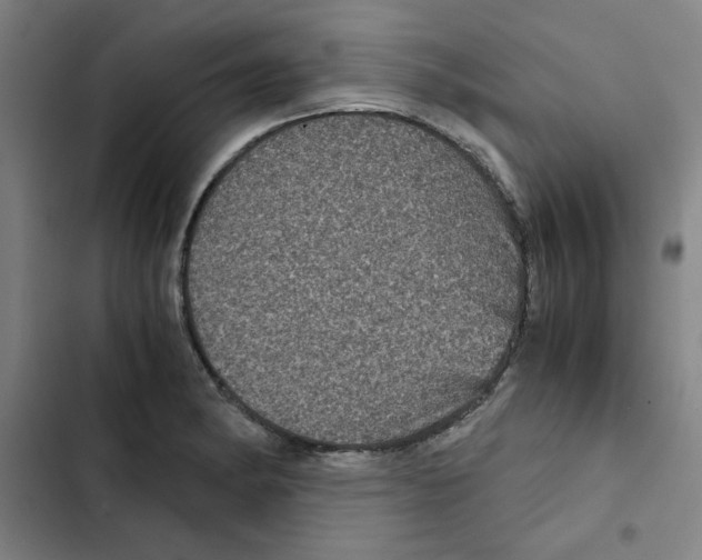 X0000102341182200808291130