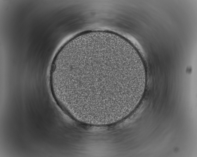 X0000102341183200808291130