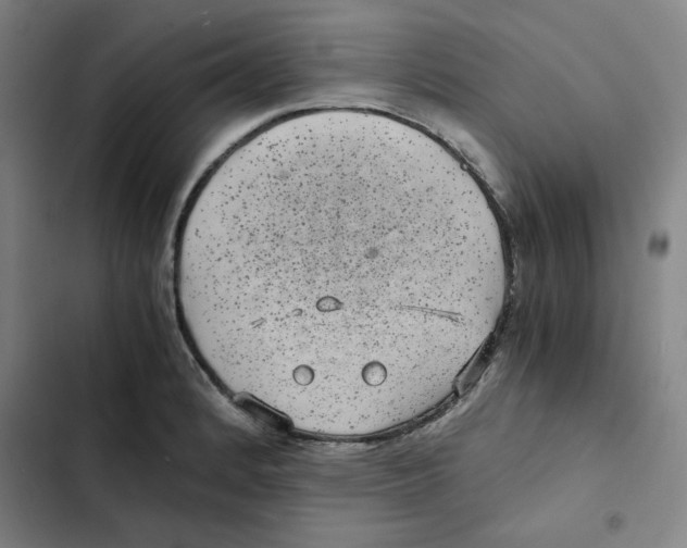 X0000102341184200808291130