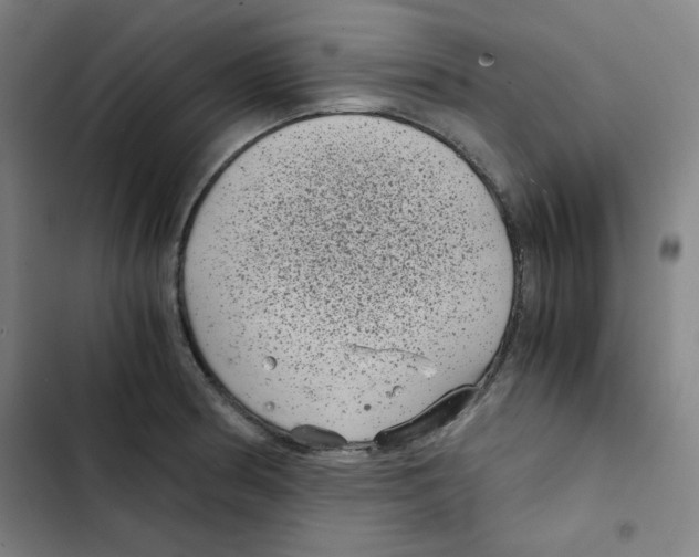 X0000102341186200808291130