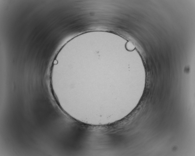 X0000102341187200808291130