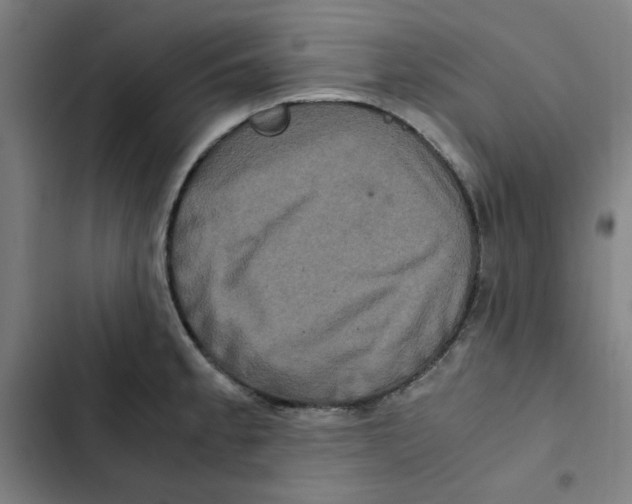 X0000102341189200808291130