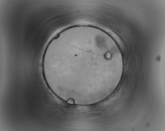 X0000102341191200808291130
