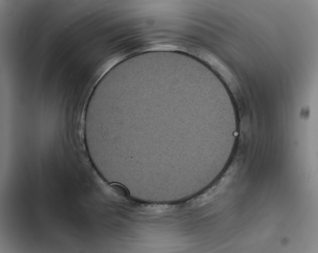 X0000102341193200808291130