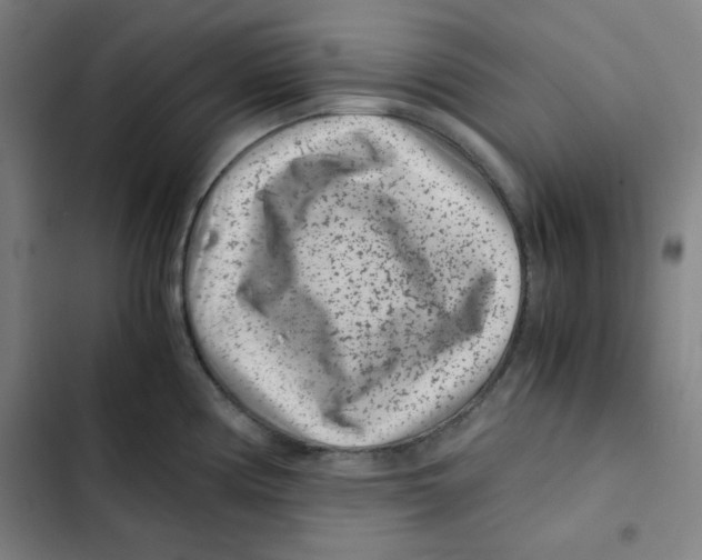X0000102341194200808291130