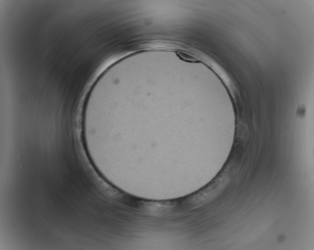 X0000102341195200808291130