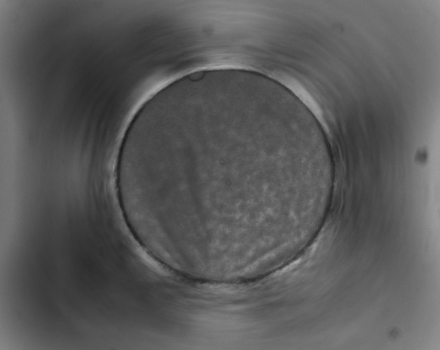 X0000102341197200808291130