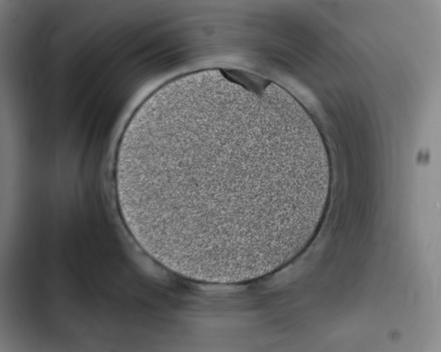 X0000102341200200808291130