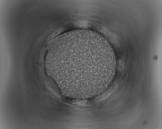 X0000102341201200808291129