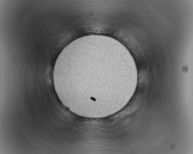 X0000102341202200808291129